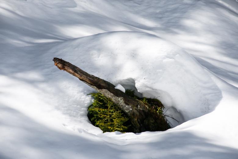 Free stock image of In Winter created by Pixabay