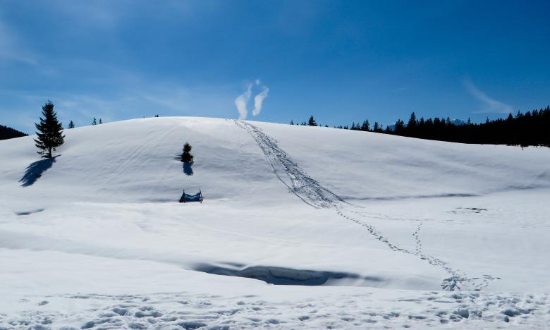 Free stock image of Frozen Route created by Pixabay