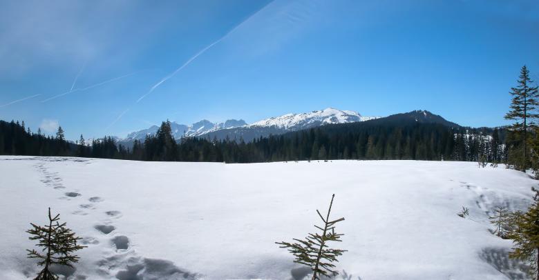 Free stock image of In Winter created by Pixabay