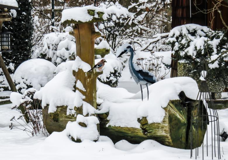 Free stock image of In Winter created by Pixabay