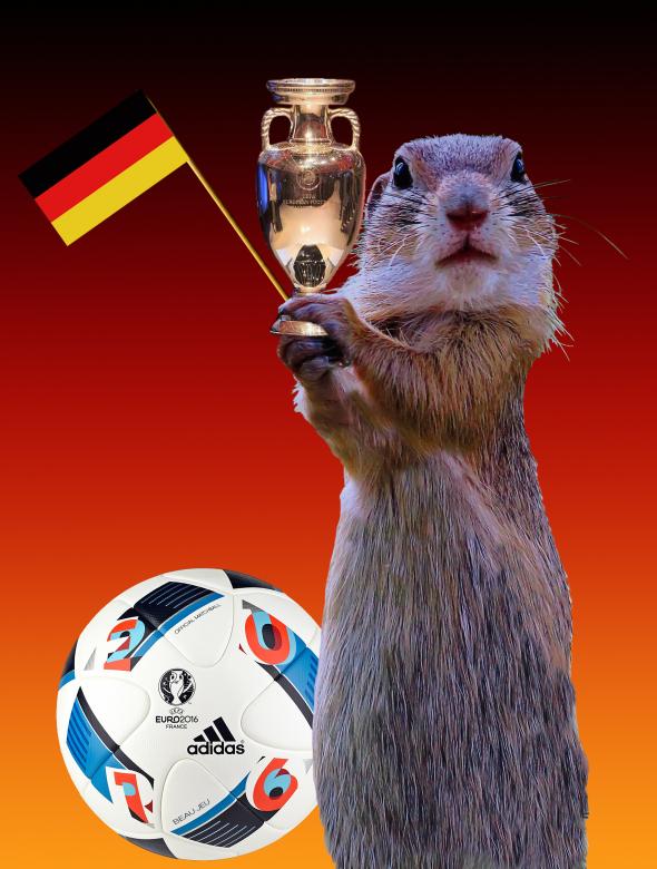 Free stock image of Fifa Worldcup created by Pixabay