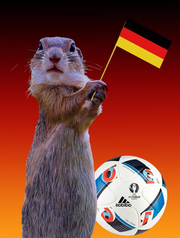 Free stock image of Fifa Worldcup created by Pixabay