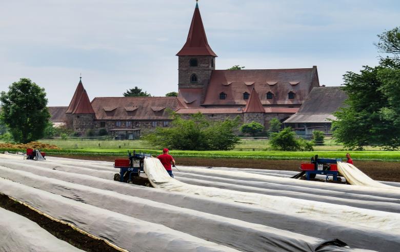 Free stock image of Tunnel Farming created by Pixabay