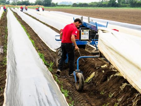 Free Stock Photo of Tunnel Farming