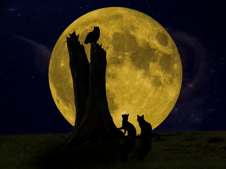 Free stock image of Good Night created by Pixabay