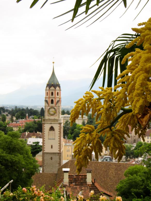 Free stock image of Urban Tower created by Pixabay