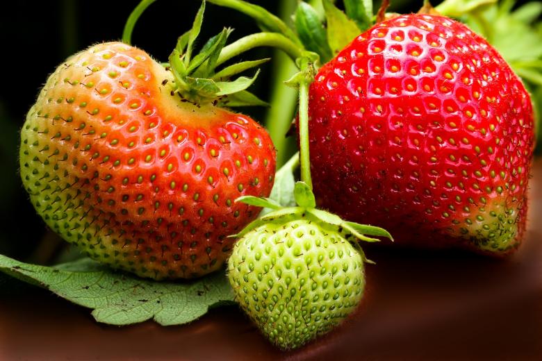 Free stock image of Fresh Strawberries created by Pixabay