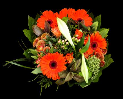 Free Stock Photo of Birthday Bouquet