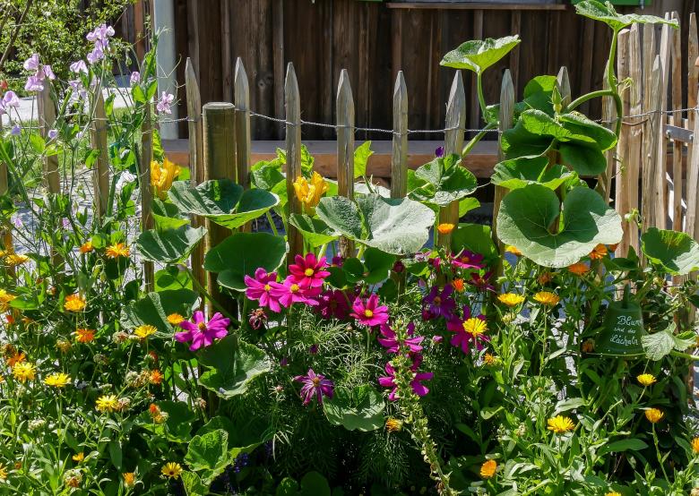 Free stock image of Flower Garden created by Pixabay