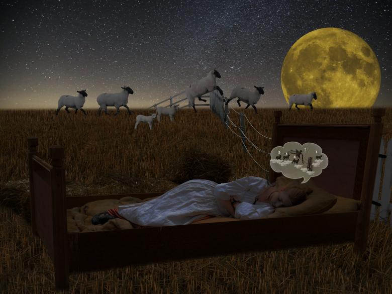 Free stock image of Sleeping in the Field created by Pixabay