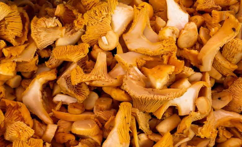 Free stock image of Fresh Mushrooms created by Pixabay
