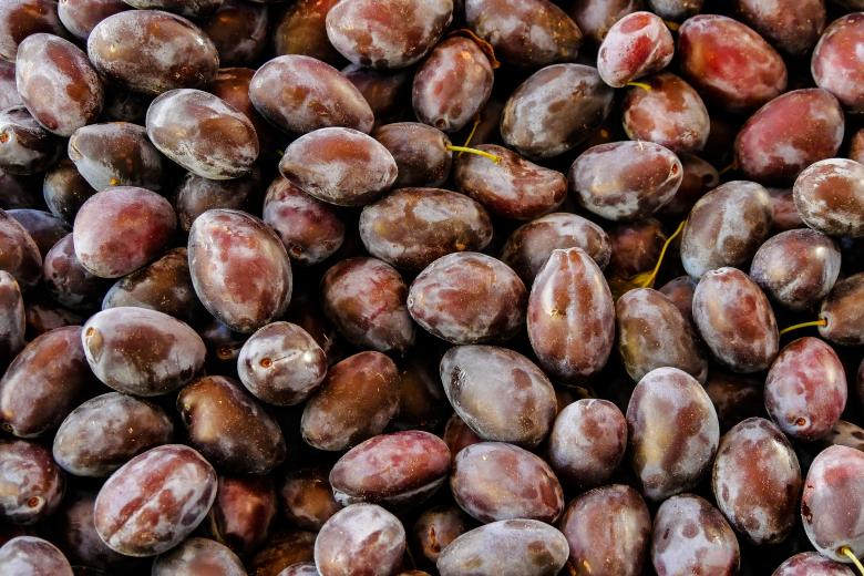Free stock image of Black Plum created by Pixabay