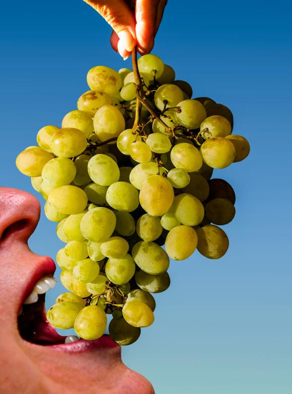 Free stock image of Eating Grapes created by Pixabay