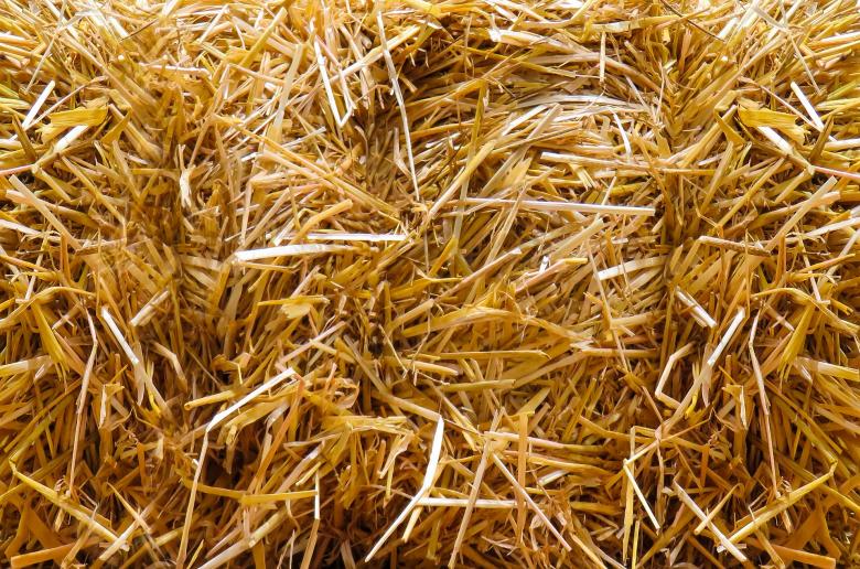 Free stock image of Straw Bales created by Pixabay