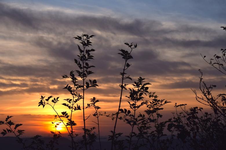 Free stock image of Sunset created by Pixabay