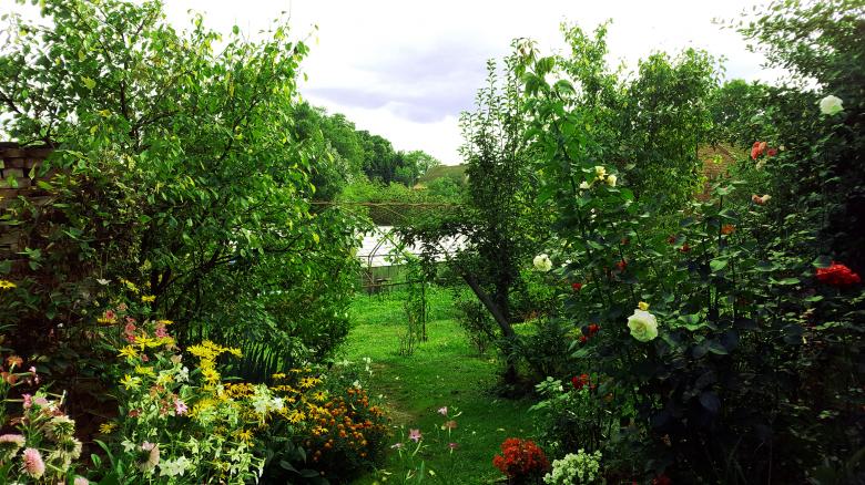 Free stock image of Garden created by Monika Zając