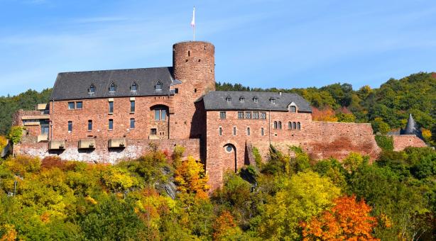Free Stock Photo of Wild Castle