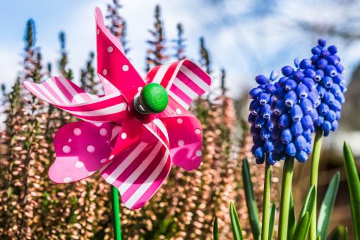 Free Stock Photo of Windspiel in the Garden