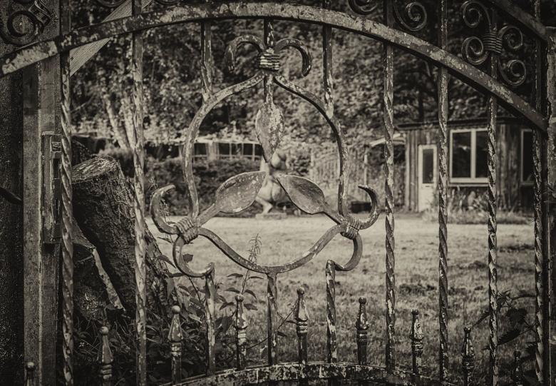 Free stock image of Metallic Fence created by Pixabay