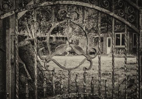 Free Stock Photo of Metallic Fence