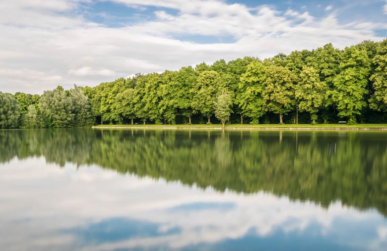 Free stock image of Mirror Effect created by Pixabay