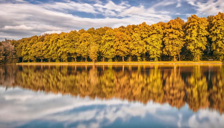 Free stock image of Mirror Effect created by Pixabay