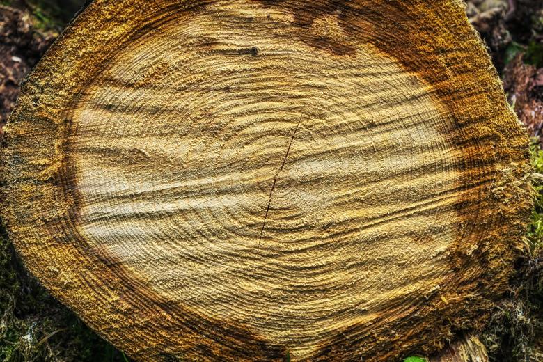 Free stock image of Wooden Texture created by Pixabay