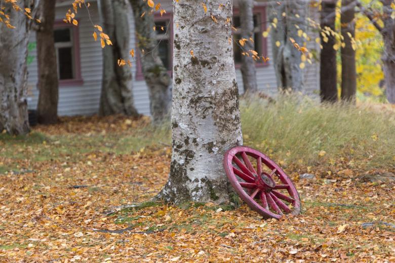 Free stock image of Wagon wheel created by Geoffrey Whiteway