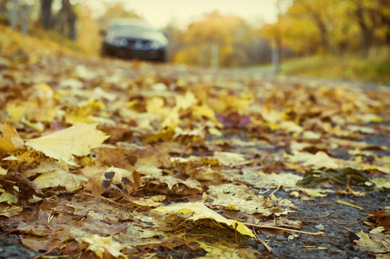 Free stock image of Autumn road created by Geoffrey Whiteway