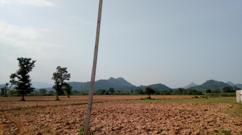 Free stock image of Cultivation Process created by k sangeeta