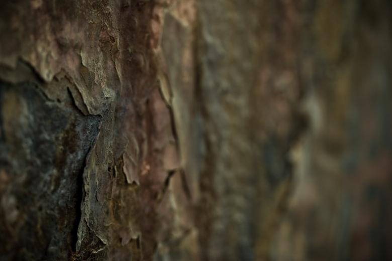 Free stock image of Rusted Metal Closeup created by Bjorgvin