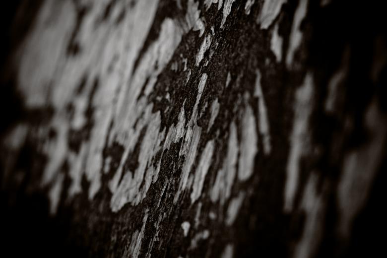 Free stock image of Macro Metal Scratches created by Bjorgvin