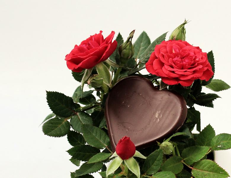 Free stock image of Mother's Day created by Pixabay
