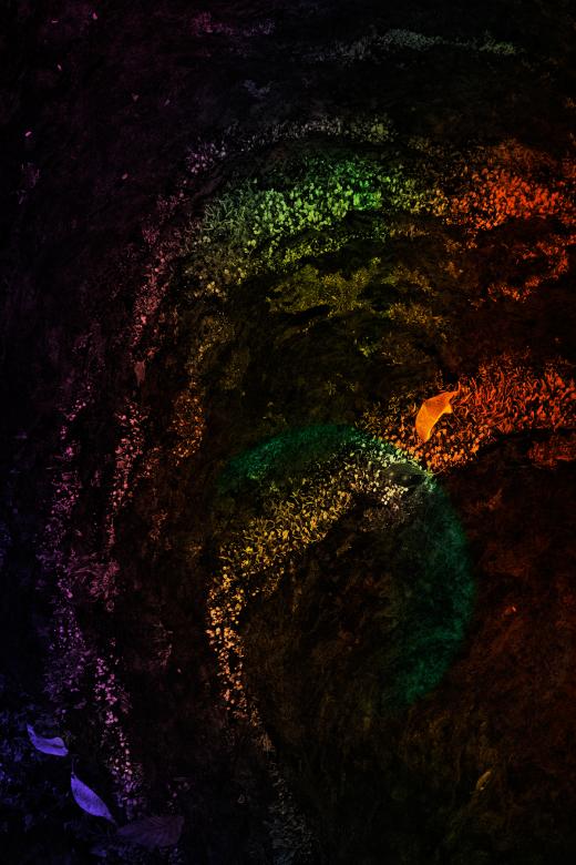 Free stock image of Aurora Mossealis created by Nicolas Raymond