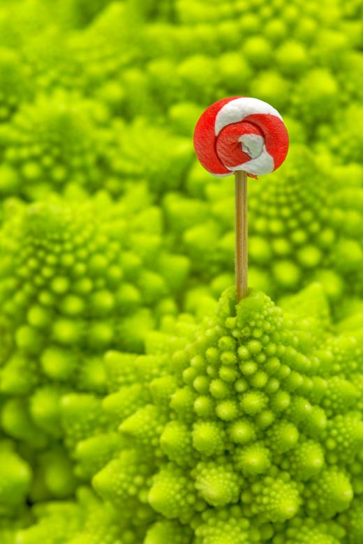 Free stock image of Romanesco Lollipop - HDR created by Nicolas Raymond