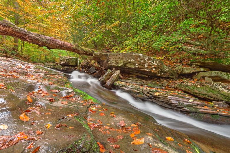Free stock image of Ricketts Glen Autumn Stream - HDR created by Nicolas Raymond