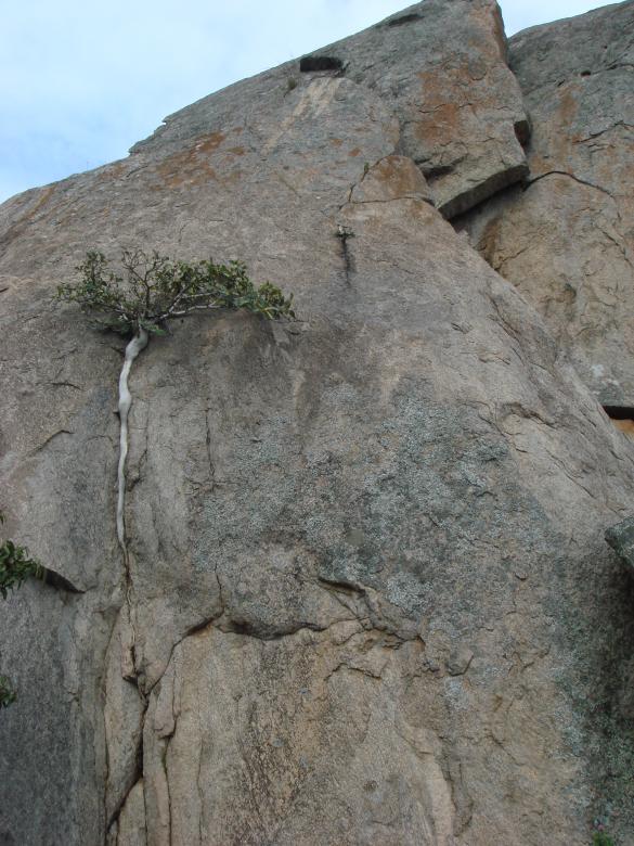Free stock image of Rock created by kiraan