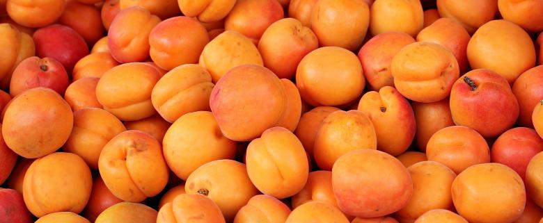 Free stock image of Fresh Apricots created by Pixabay