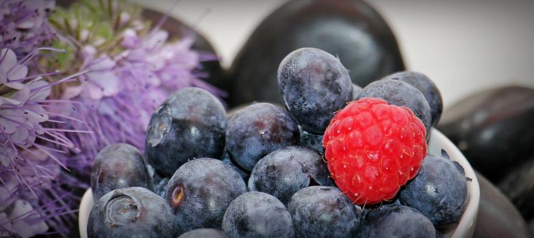 Free stock image of Blue Berries created by Pixabay