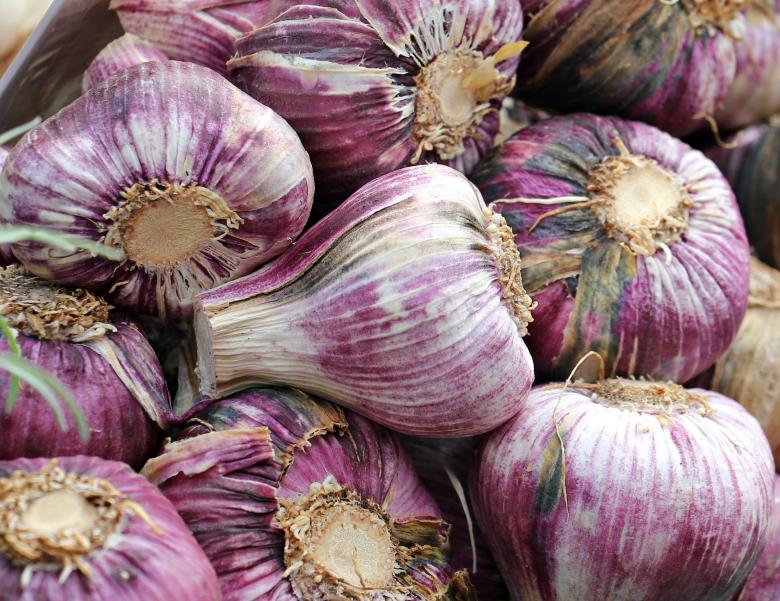 Free stock image of Garlic Closeup created by Pixabay