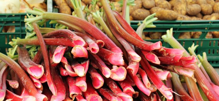 Free Stock Photo of Vegetable Stall