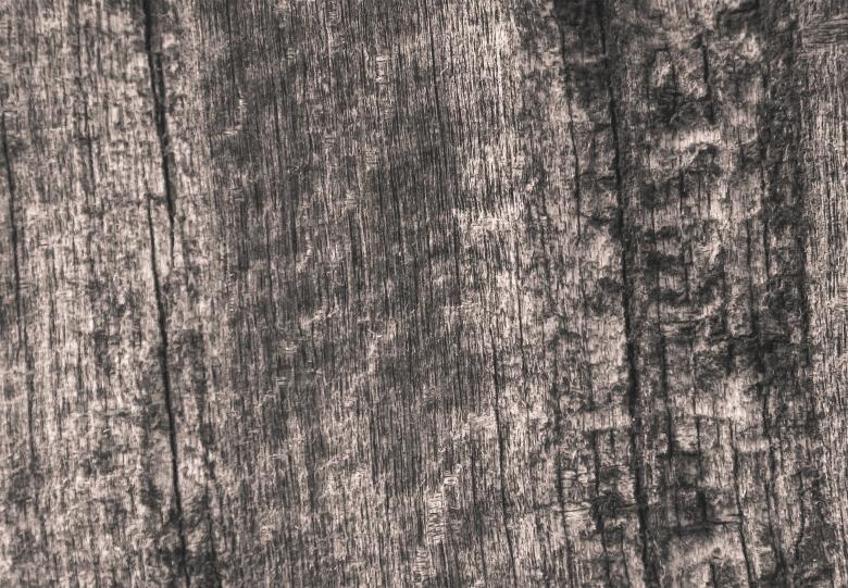 Free stock image of Wood texture created by Alen