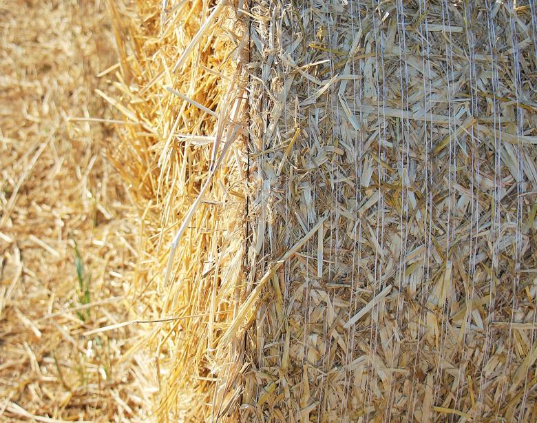 Free stock image of Straw Role created by Pixabay