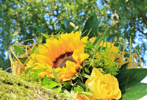 Free Stock Photo of Yellow Flower Bouquet