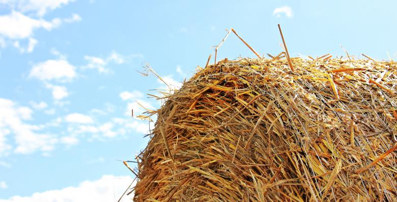 Free stock image of Straw Role created by Pixabay