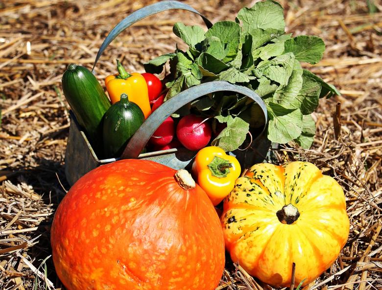 Free stock image of Thanksgiving Day created by Pixabay