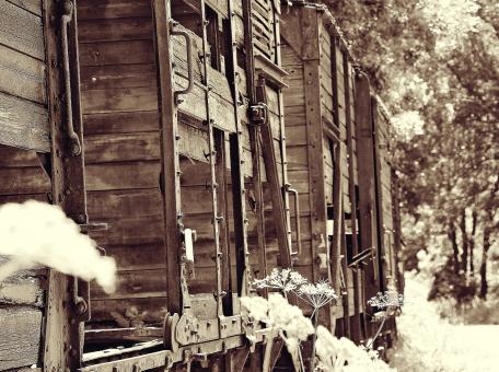 Free Stock Photo of Train Service