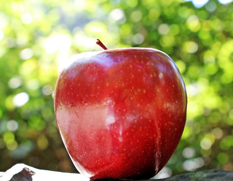 Free stock image of Fresh Apple created by Pixabay