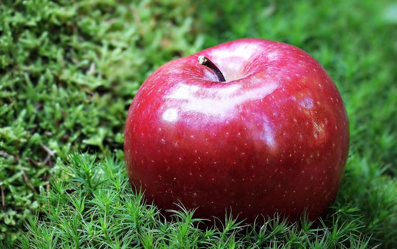 Free stock image of Fresh Apple created by Pixabay