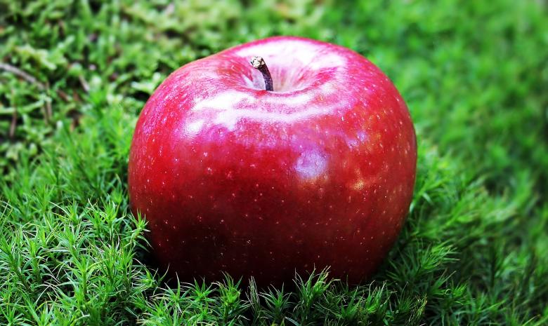 Free stock image of Fresh Apple created by Pixabay